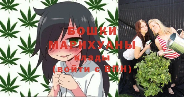 скорость Ладушкин