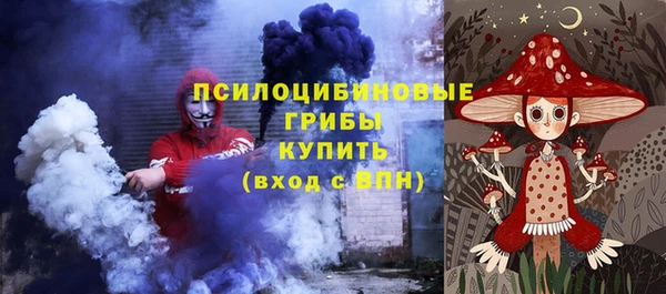 скорость Ладушкин