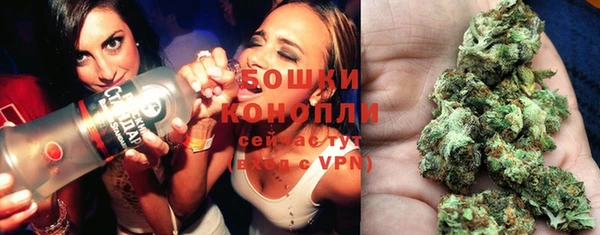 индика Лихославль