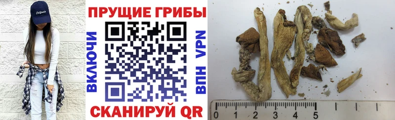 Псилоцибиновые грибы мухоморы  Новороссийск 