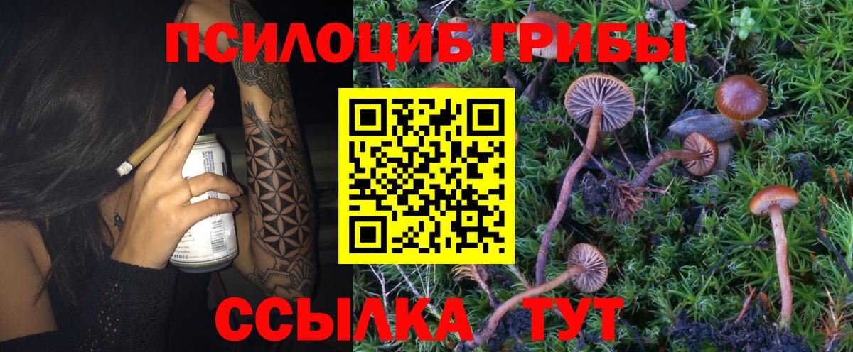 Бутират Новороссийск