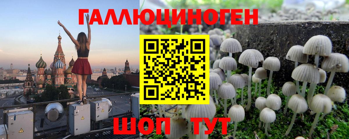 Галлюциногенные грибы мухоморы Новороссийск